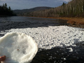 Zamarzająca rzeka Allagash w Stanach Zjednoczonych, częściowo pokryta lodowymi krążkami, tzw. pancake ice (lodowymi naleśnikami). Fot. U.S. Geological Survey, źródło: https://www.flickr.com
